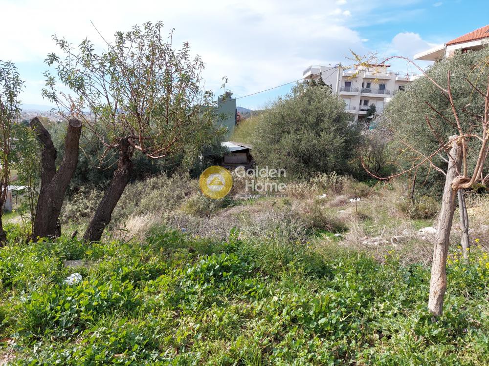 Οικόπεδο 3.000 τ.μ. πρός πώληση, Αθήνα - Δυτικά Προάστια, Καματερό