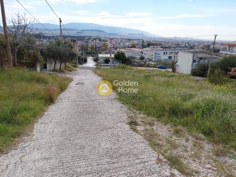 Land plot 3.000sqm for sale-Kamatero » Attalos