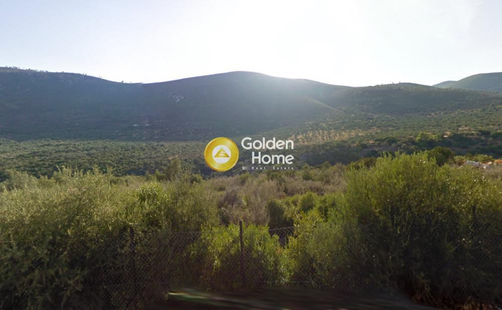 Οικόπεδο 416.000 τ.μ. πρός πώληση, Κορινθία, Σολύγεια