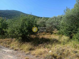 Οικόπεδο 420 τ.μ. για πώληση, Αργολίδα, Επίδαυρος-thumb-4