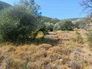 Οικόπεδο 420 τ.μ. για πώληση, Αργολίδα, Επίδαυρος-thumb-6
