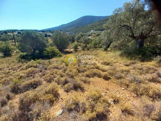 Οικόπεδο 420 τ.μ. για πώληση, Αργολίδα, Επίδαυρος-thumb-7