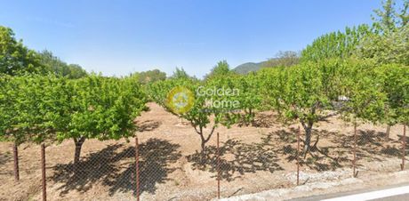 Land plot 1.070sqm for sale-Sourpi » Agia Triada