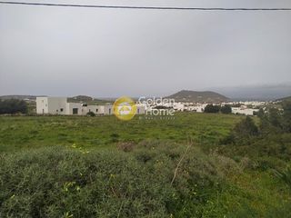 Αγροτεμάχια 3.000 τ.μ. για πώληση, Κυκλάδες, Πάρος-thumb-6