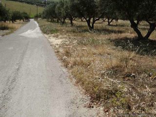 Οικόπεδο 1.110 τ.μ. για πώληση, Ν. Ηρακλείου, Ηράκλειο Κρήτης-thumb-8