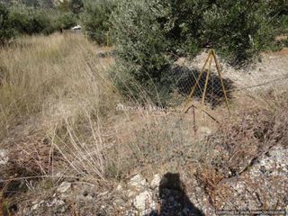 Οικόπεδο 1.110 τ.μ. για πώληση, Ν. Ηρακλείου, Ηράκλειο Κρήτης-thumb-12