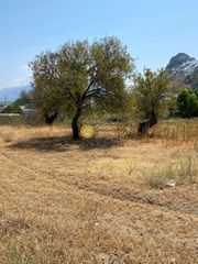 Οικόπεδο 1.500 τ.μ. για πώληση, Σποράδες, Σκύρος-thumb-2