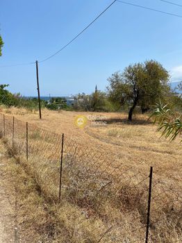 Land plot 1.500sqm for sale-Skiros » Main Town - Chora