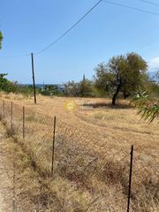 Οικόπεδο 1.500 τ.μ. για πώληση