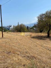 Οικόπεδο 1.500 τ.μ. για πώληση, Σποράδες, Σκύρος-thumb-3