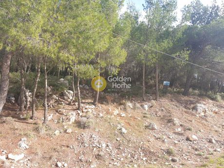 Land plot 1.020sqm for sale-Mandra » Panorama