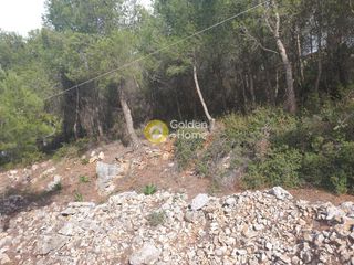 Οικόπεδο 1.020 τ.μ. για πώληση, Αττική - Υπόλοιπο, Μάνδρα-thumb-3