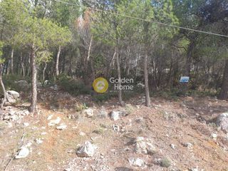 Οικόπεδο 1.020 τ.μ. για πώληση, Αττική - Υπόλοιπο, Μάνδρα-thumb-2