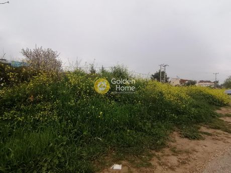 Land plot 330sqm for sale-Artemida (Loutsa) » Kataskinosis