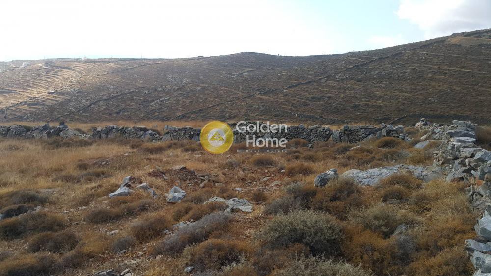 Αγροτεμάχια 38.202 τ.μ. προς πώληση, Λιοτρίβι