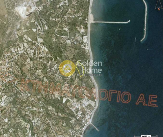 Οικόπεδο 10.000 τ.μ. πρός πώληση, Εύβοια, Κύμη