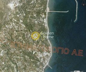Οικόπεδο 10.000 τ.μ. για πώληση