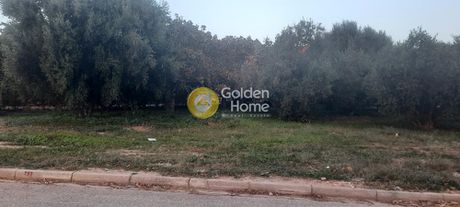 Land plot 830sqm for sale-Vari - Varkiza » Asirmatos Alianthou