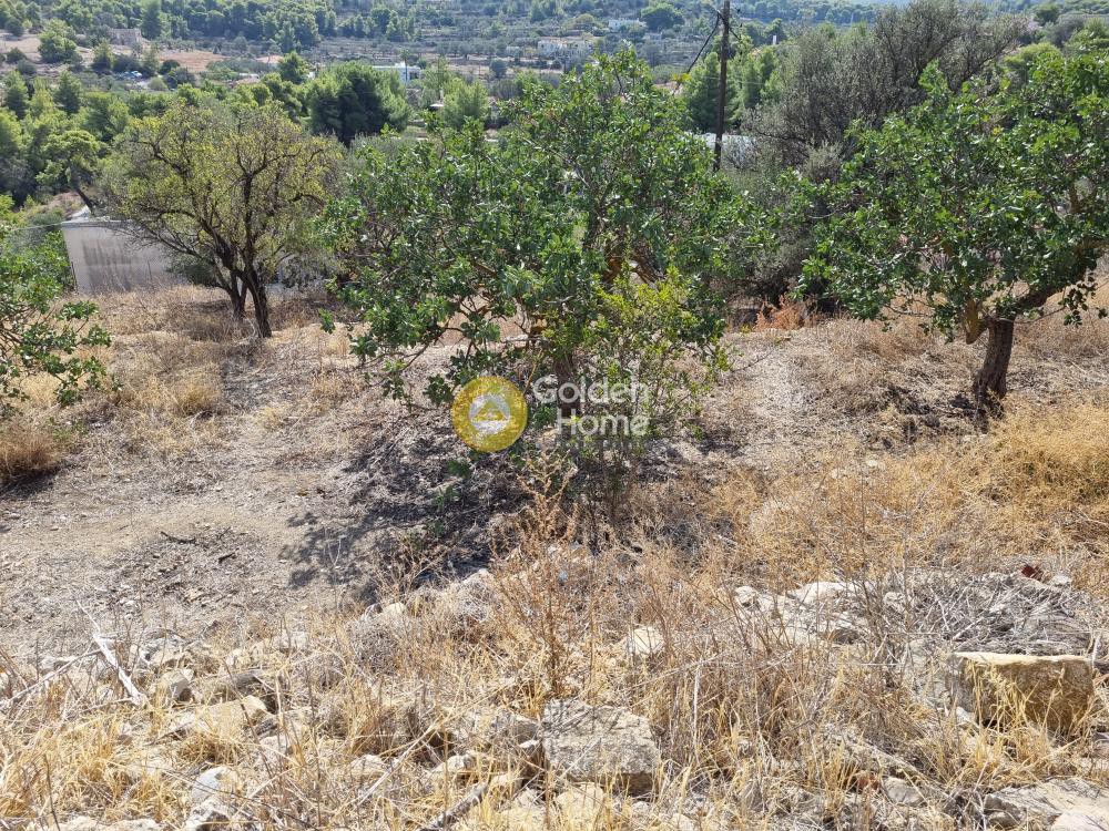 Οικόπεδο 887 τ.μ. προς πώληση, Νησιά Αργοσαρωνικού, Αίγινα