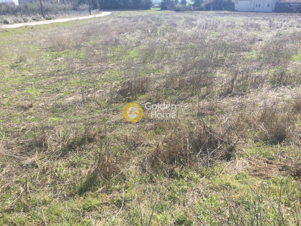 Οικόπεδο 586 τ.μ. πρός πώληση, Θεσσαλονίκη - Περιφ/Κοί Δήμοι, Θέρμη