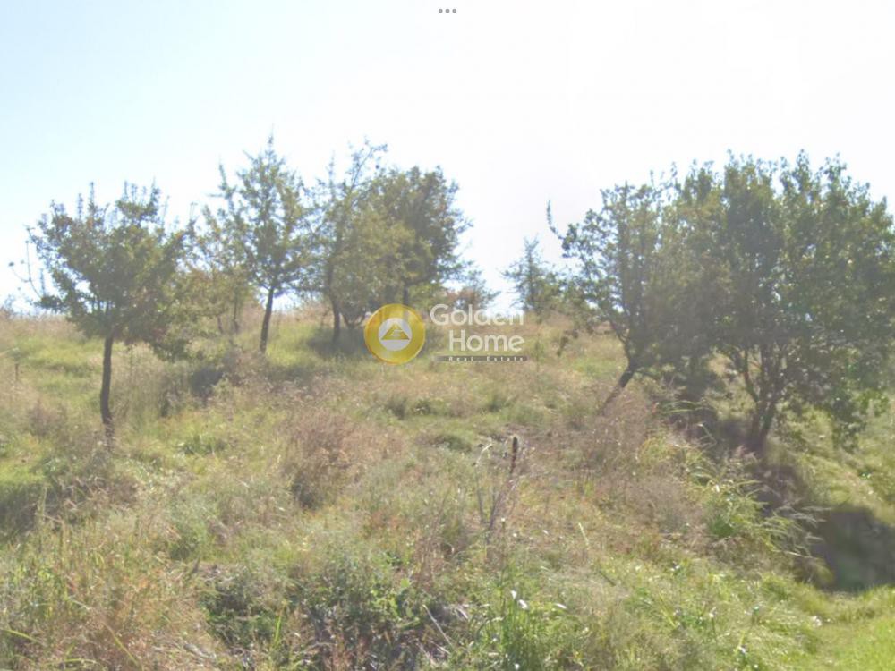 Οικόπεδο 586 τ.μ. πρός πώληση, Θεσσαλονίκη - Περιφ/Κοί Δήμοι, Θέρμη