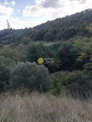 Αγροτεμάχια 1.156 τ.μ. για πώληση