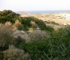 Οικόπεδο 8.000 τ.μ. για πώληση, Κυκλάδες, Πάρος-thumb-9