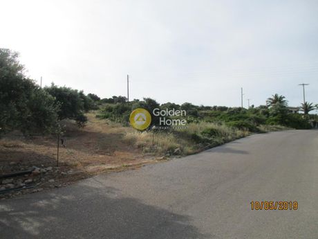 Land plot 25.000sqm for sale-Siteia » Panagia Faneromeni