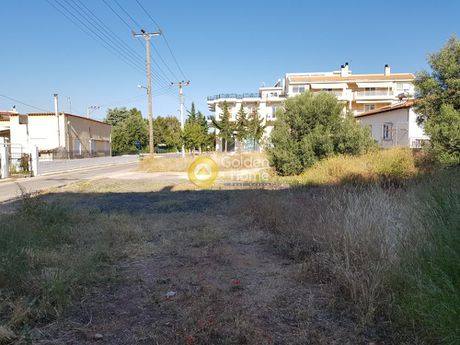 Οικόπεδο 265τ.μ. για πώληση-Ελευσίνα » Νέος πόντος