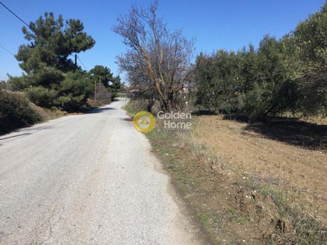 Parcel 4.200sqm for sale-Epanomi » Mesimeri