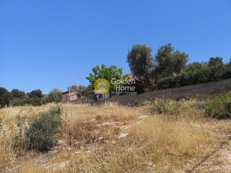 Αγροτεμάχια 578 τ.μ. για πώληση