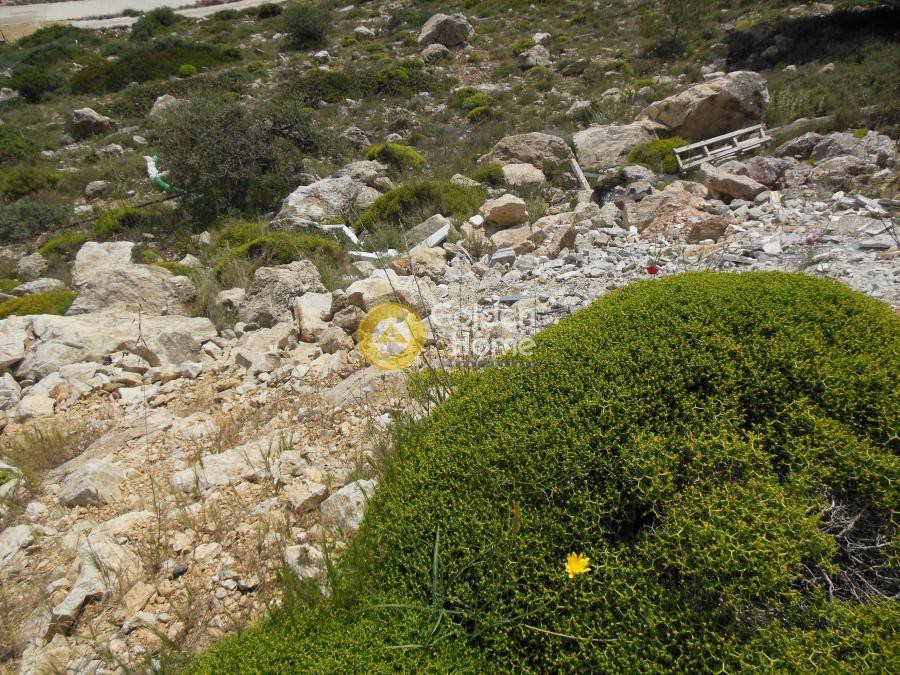 Οικόπεδο 1.209 τ.μ. πρός πώληση, Αττική - Υπόλοιπο, Σαρωνίδα