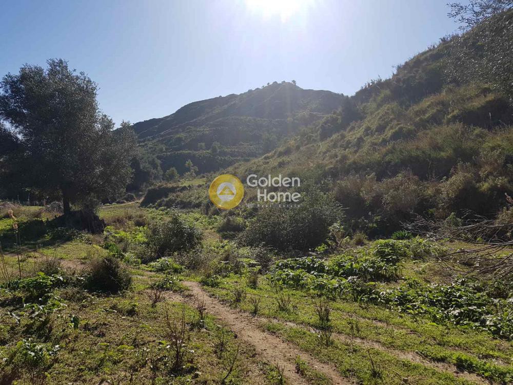 Οικόπεδο 97.000 τ.μ. πρός πώληση, Ν. Κεφαλονιάς, Κεφαλονιά