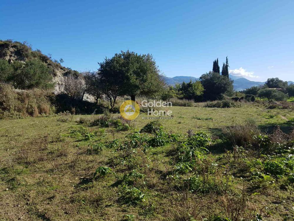 Οικόπεδο 97.000 τ.μ. πρός πώληση, Ν. Κεφαλονιάς, Κεφαλονιά