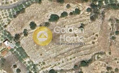 Αγροτεμάχια 17.592 τ.μ. προς πώληση, Λιβάδι Αίγινας