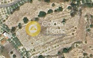 Αγροτεμάχια 17.592 τ.μ. για πώληση