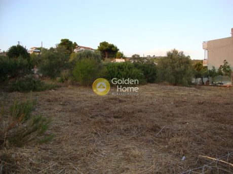 Οικόπεδο 315τ.μ. για πώληση-Παλλήνη » Κέντρο