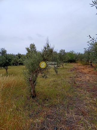 Αγροτεμάχια 1.310 τ.μ. για πώληση, Ν. Ηρακλείου, Τυμπάκι