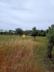 Αγροτεμάχια 1.310 τ.μ. για πώληση, Ν. Ηρακλείου, Τυμπάκι-thumb-1
