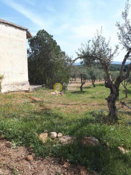 Αγροτεμάχια 3.000τ.μ. για πώληση-Καστέλλι » Ευαγγελισμός