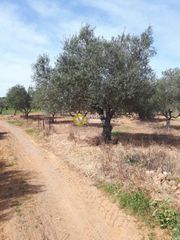 Αγροτεμάχια 3.000 τ.μ. για πώληση, Ν. Ηρακλείου, Καστέλλι-thumb-2