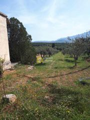 Αγροτεμάχια 3.000 τ.μ. για πώληση, Ν. Ηρακλείου, Καστέλλι-thumb-1