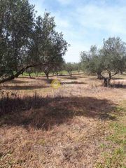 Αγροτεμάχια 3.000 τ.μ. για πώληση, Ν. Ηρακλείου, Καστέλλι-thumb-7