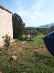 Αγροτεμάχια 3.000 τ.μ. για πώληση, Ν. Ηρακλείου, Καστέλλι-thumb-6