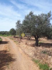 Αγροτεμάχια 3.000 τ.μ. για πώληση, Ν. Ηρακλείου, Καστέλλι-thumb-5
