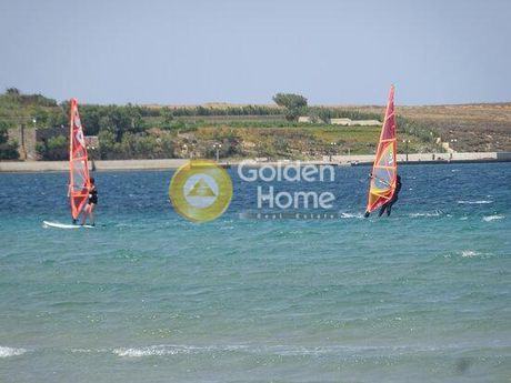 Οικόπεδο 30.000 τ.μ. για πώληση