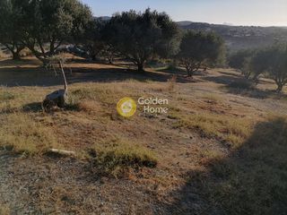 Οικόπεδο 4.694 τ.μ. για πώληση, Ν. Ηρακλείου, Μοίρες-thumb-5