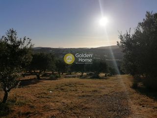 Οικόπεδο 4.694 τ.μ. για πώληση, Ν. Ηρακλείου, Μοίρες-thumb-11