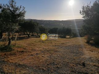 Οικόπεδο 4.694 τ.μ. για πώληση, Ν. Ηρακλείου, Μοίρες-thumb-9