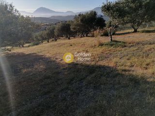 Οικόπεδο 4.694 τ.μ. για πώληση, Ν. Ηρακλείου, Μοίρες-thumb-7